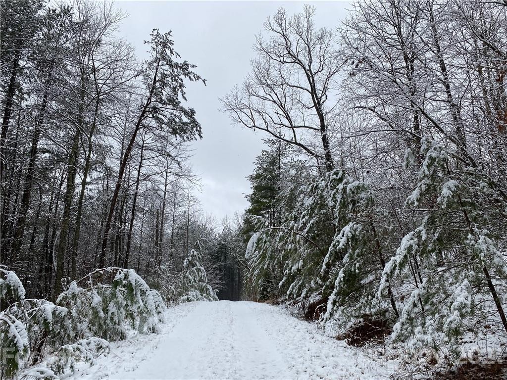 Other - 95 Pilot Ridge Road, Nebo, NC