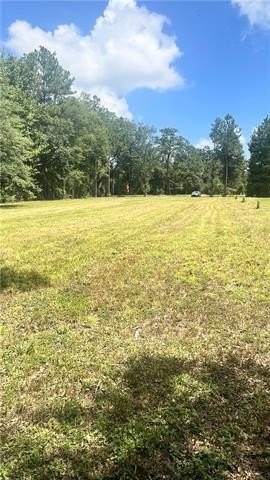 Other - 62285 HIGHWAY 1091 lot: A, Pearl River, LA