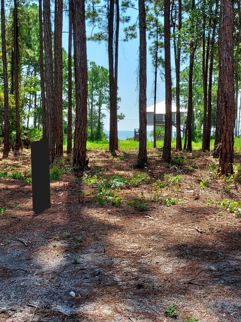 Other - 164 Royal Tern Way, Carrabelle, FL