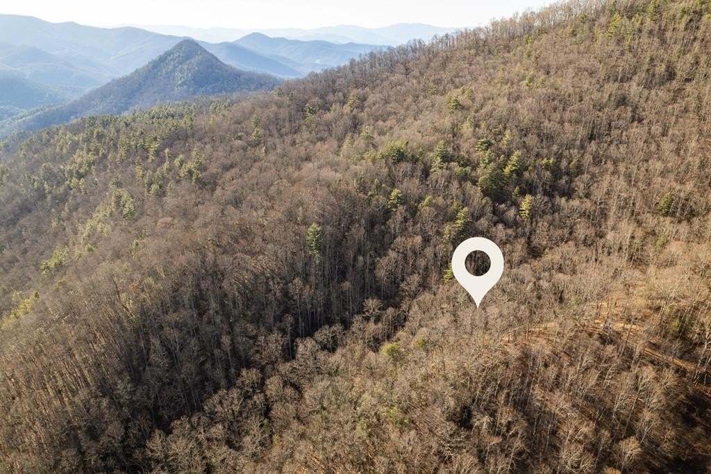 Other - Moss Ridge Road, Franklin, NC