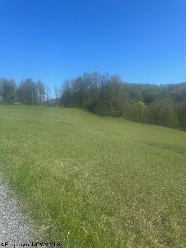 Other - Lots 2 & 3 High Meadow Drive, Moatsville, WV