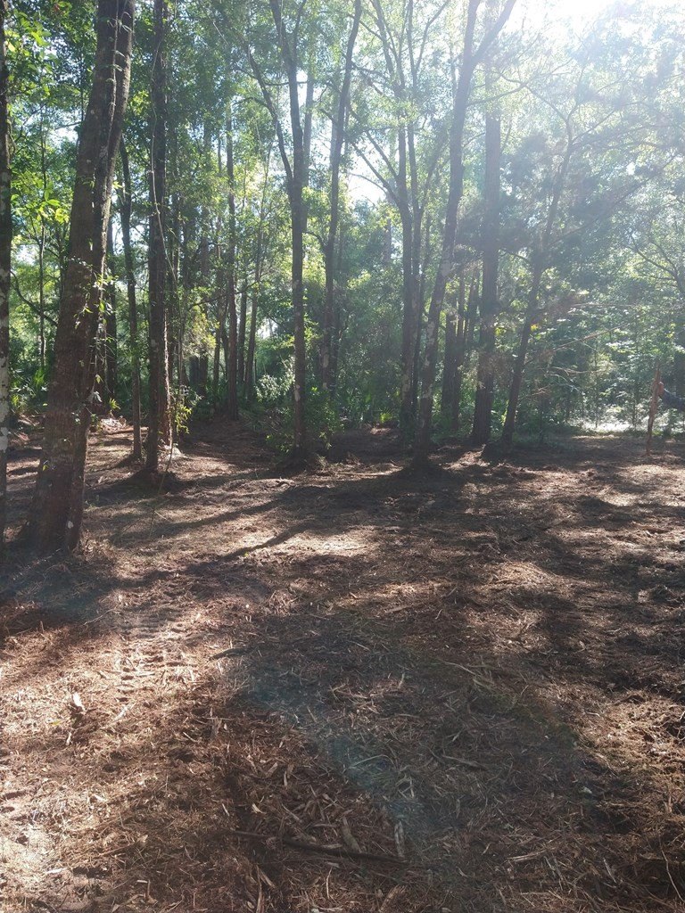 Other - 80 316th Ave, Cross City, FL