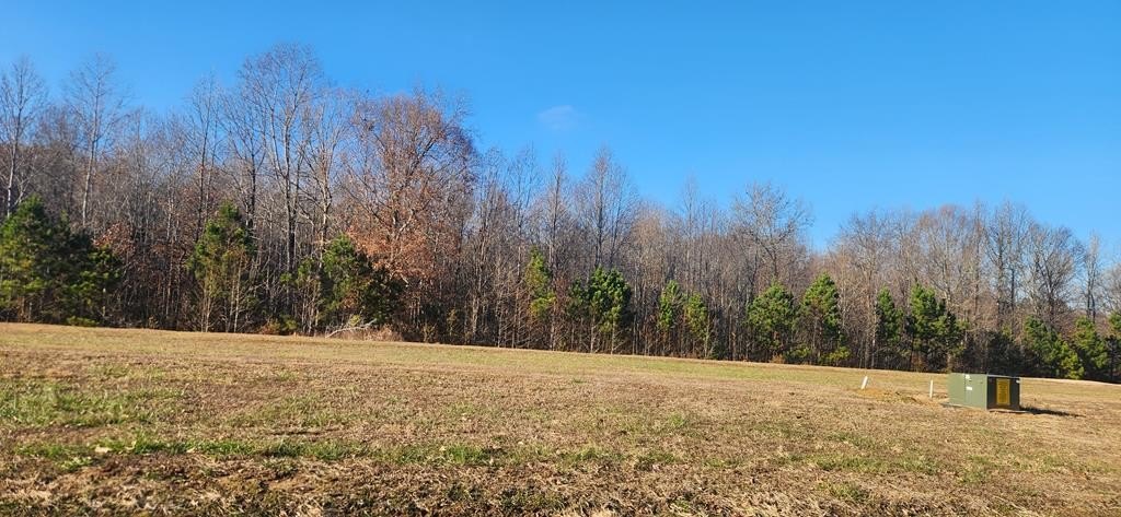 Other - Southern Shores Pt (Kyle Rd) lot: 125, HUNTINGDON, TN