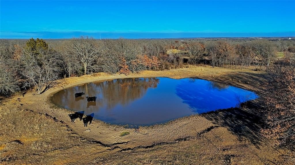 Single Family - Tbd FM 1806, Montague, TX