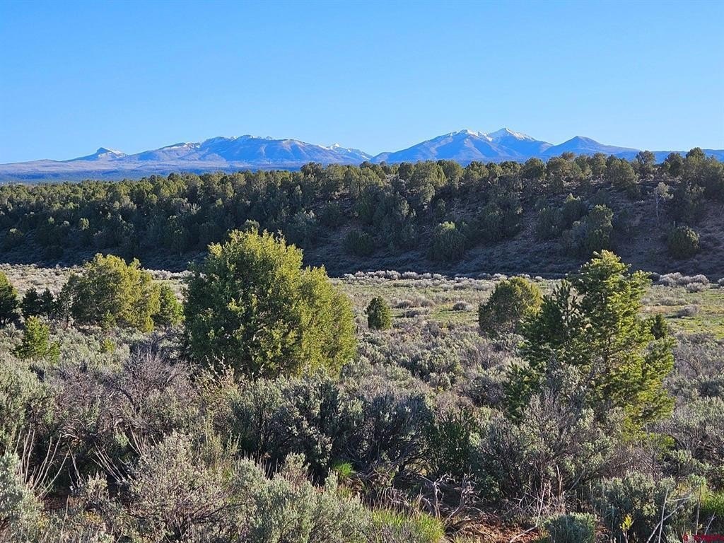 Other - 1177 County Road 119A, Hesperus, CO