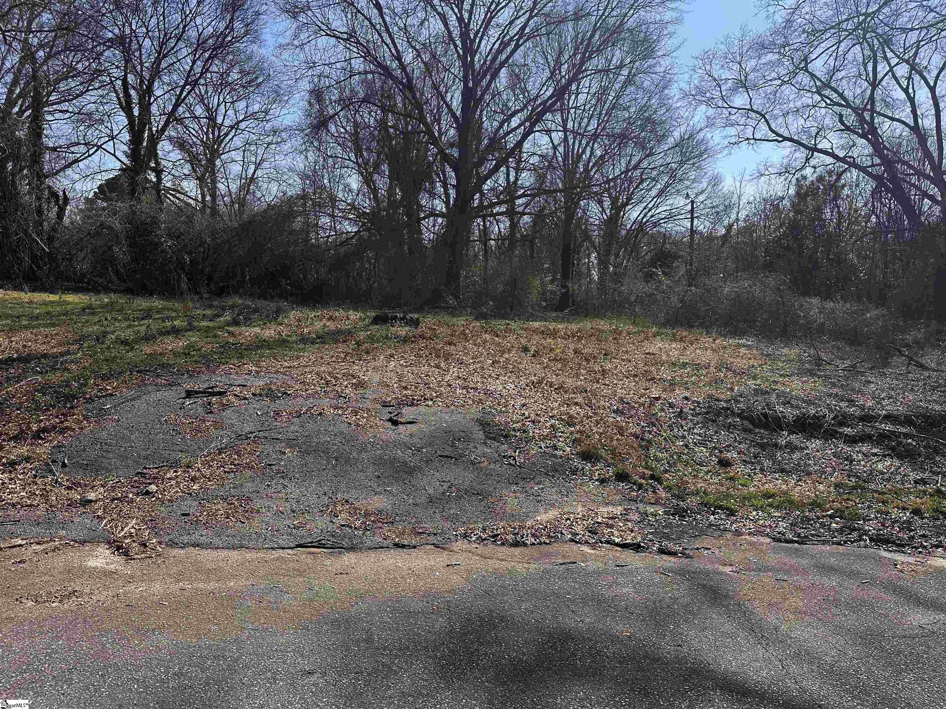 Other - Wenzick Street lot: 13, Anderson, SC