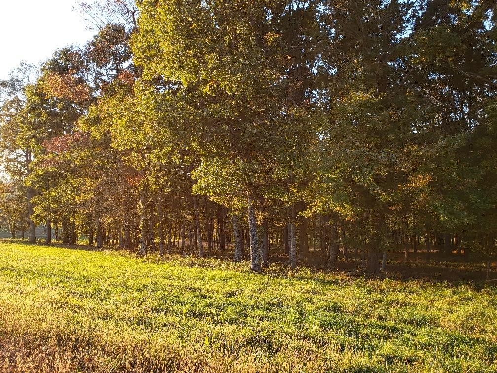 Tbd CRESTVIEW MOUNTAIN DR Lot 36  