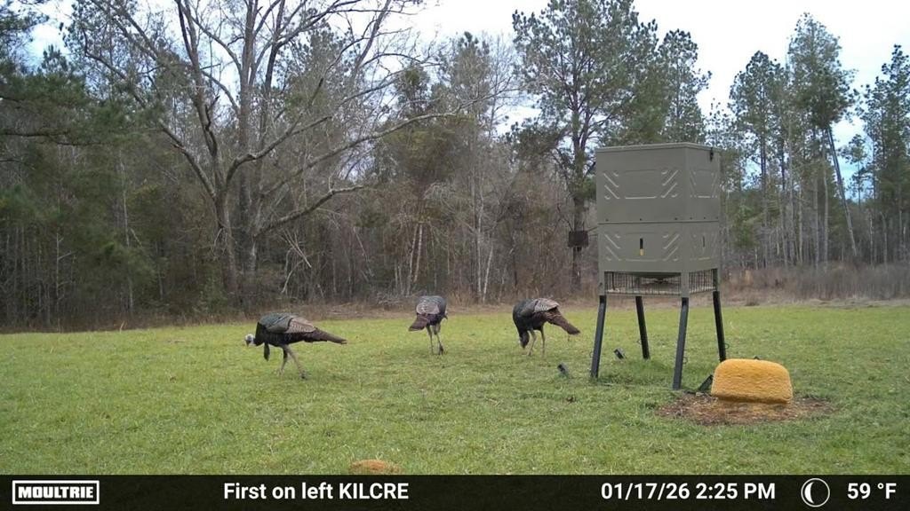 Other - 0 Banks, Brundidge, AL