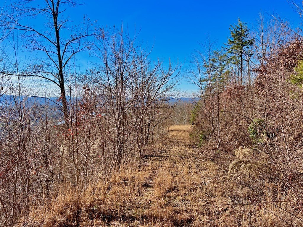 Other - Lot 34 Carlin Road, Hiawassee, GA