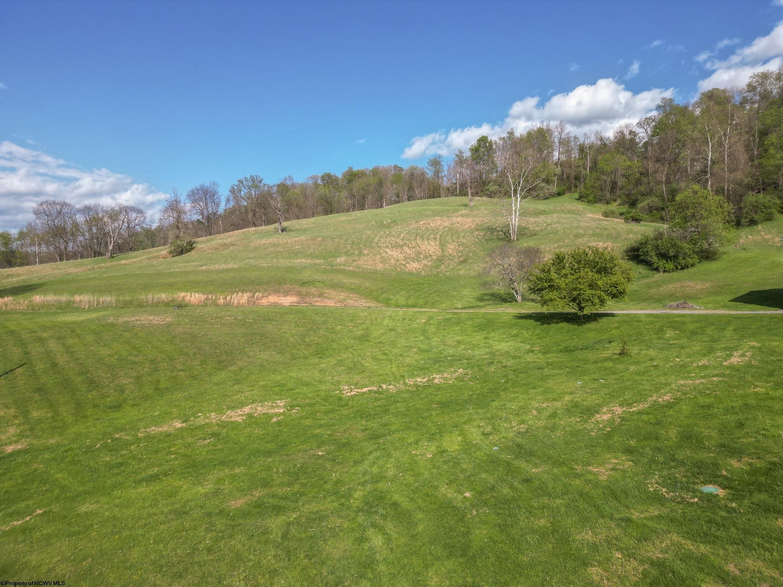 Single Family 4BR 3BA - 2376 Hastings Run Road, Mount Clare, WV