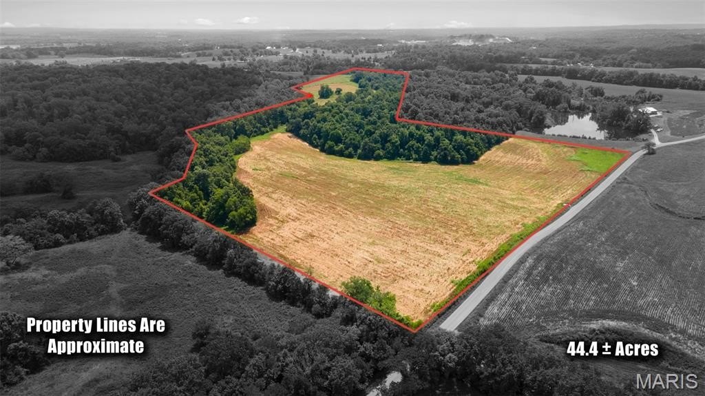 Plots and Land - 0 County Road 349, Millersville, MO