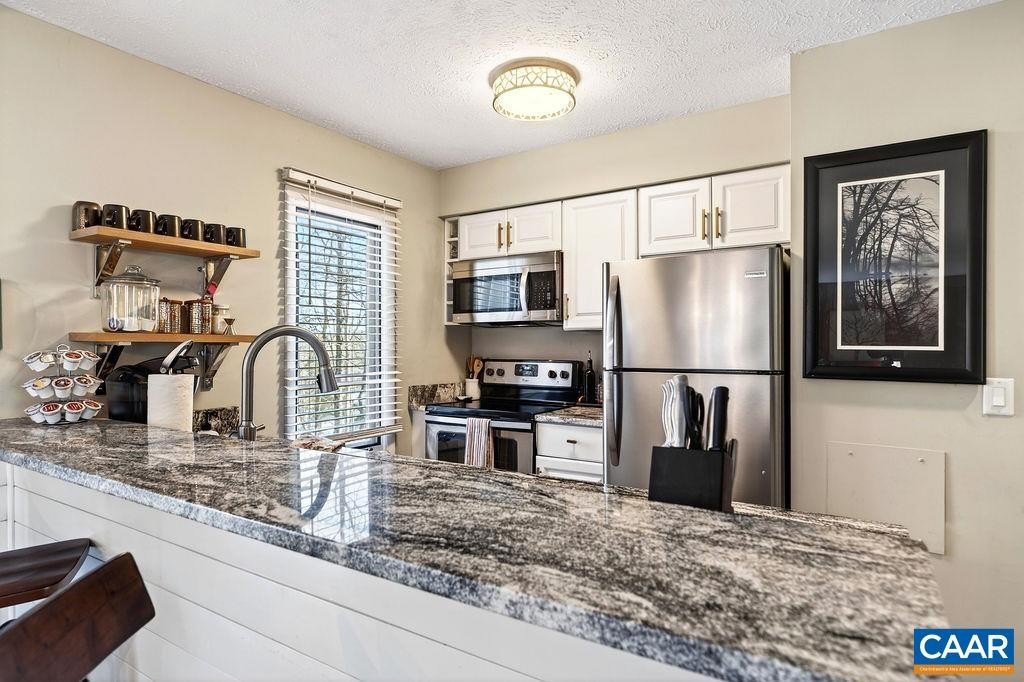 Condo 2BR 2BA - 2247 TANNERS RIDGE, WINTERGREEN RESORT, VA