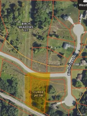 Other - Birch Meadows Lane, Handy Twp, MI