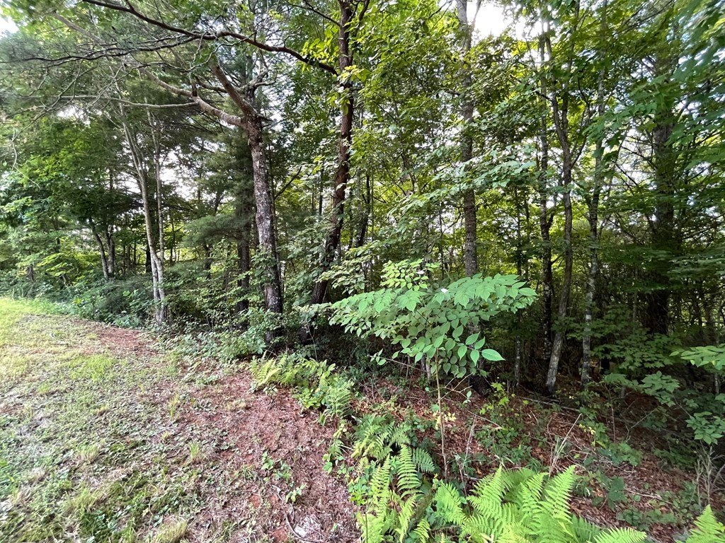 Other - Lot 32 Fodder Creek Mill Drive, Hiawassee, GA