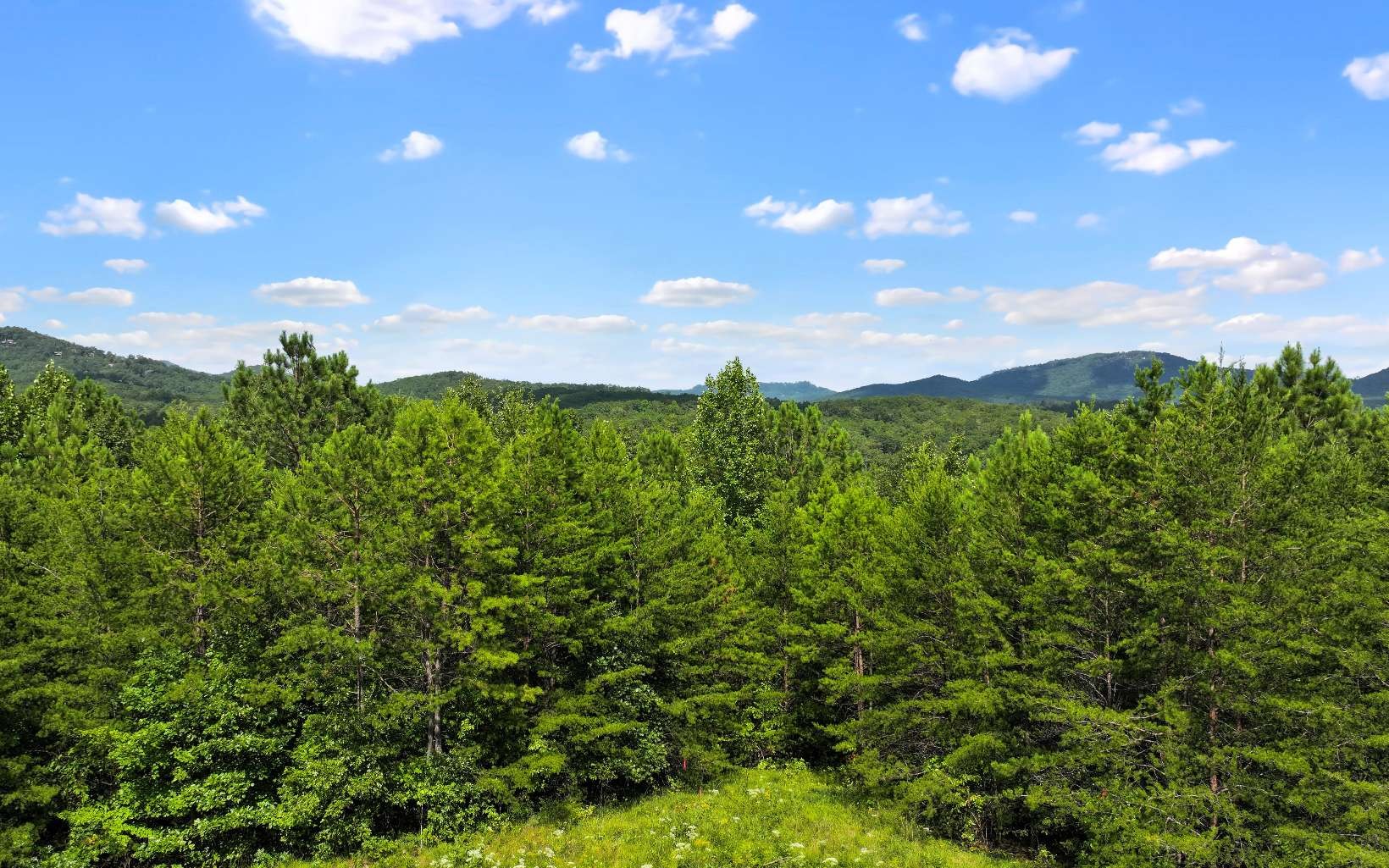 Other - Lot 1 North View Drive, Mineral Bluff, GA