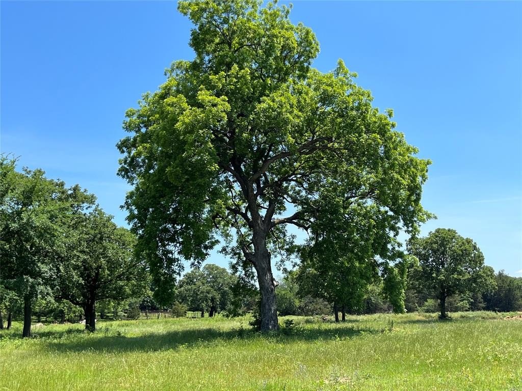 Other - Kiowa Oaks Court lot: 9, Gainesville, TX