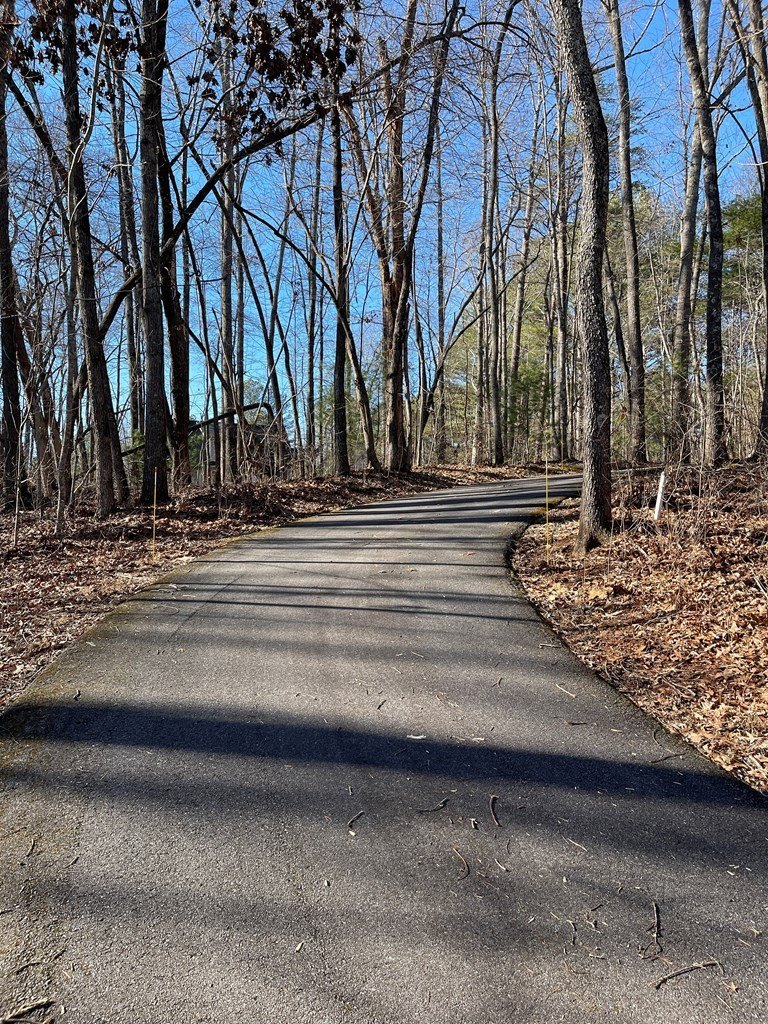 Other - Lot #12E The Woodlands, HAYESVILLE, NC