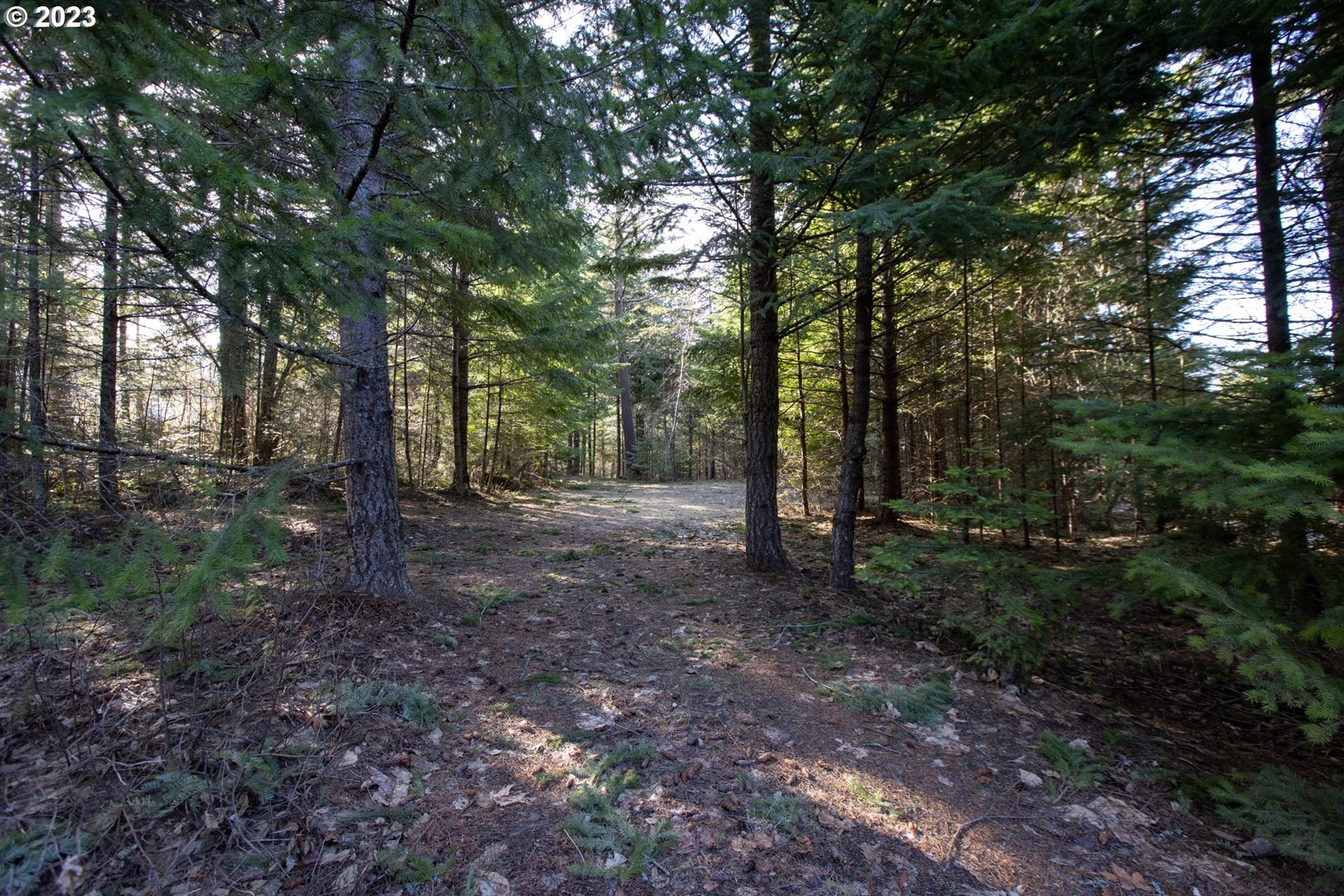 1311 Lacock Kelchner RD  