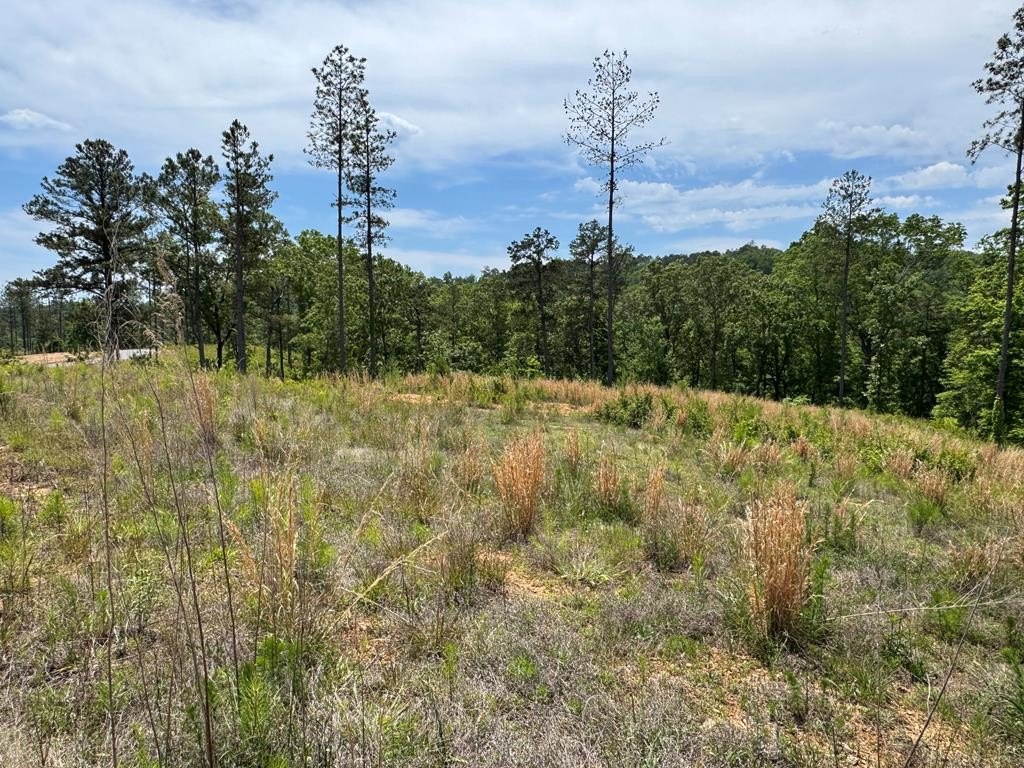 Other - Lot 243 Spear Point Dr, Talking Rock, GA