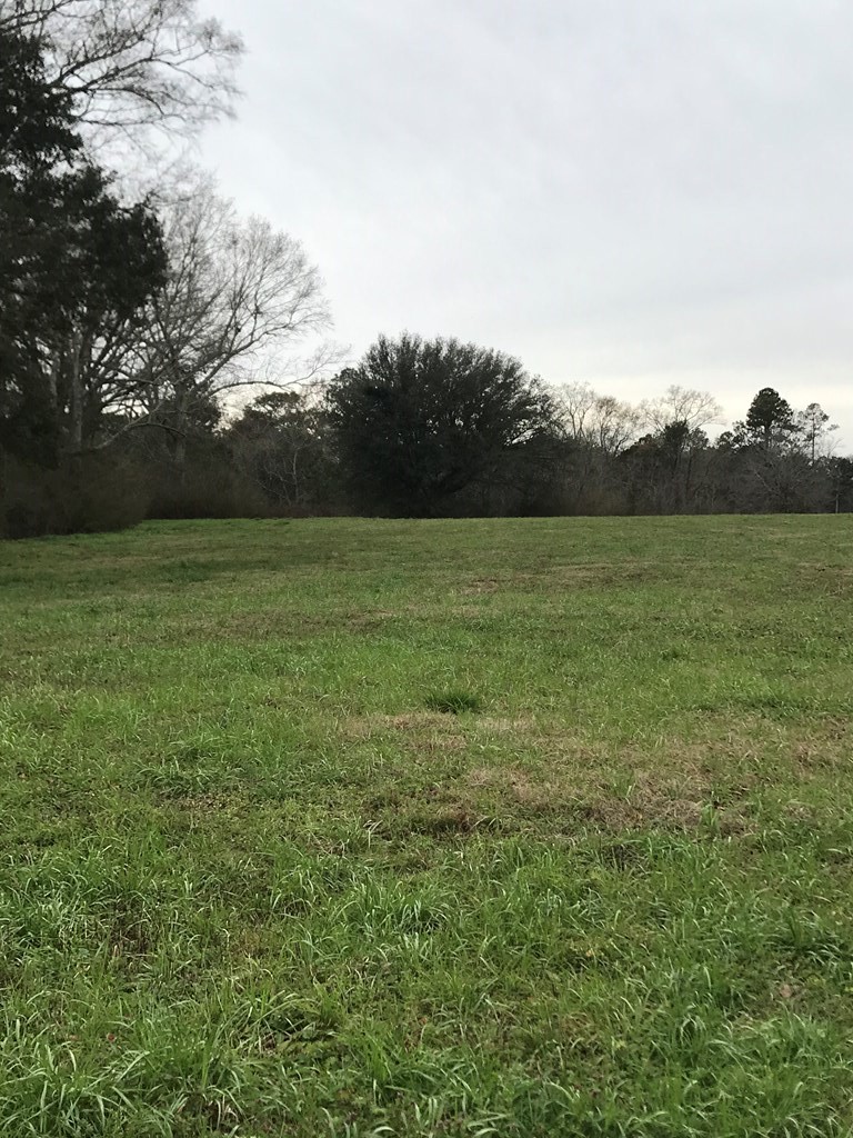 Single Family - 0 Whispering Lane Lot 59, Poplarville, MS