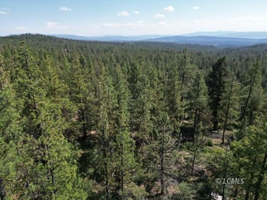 Other - Sandpiper Ln, Beatty, OR