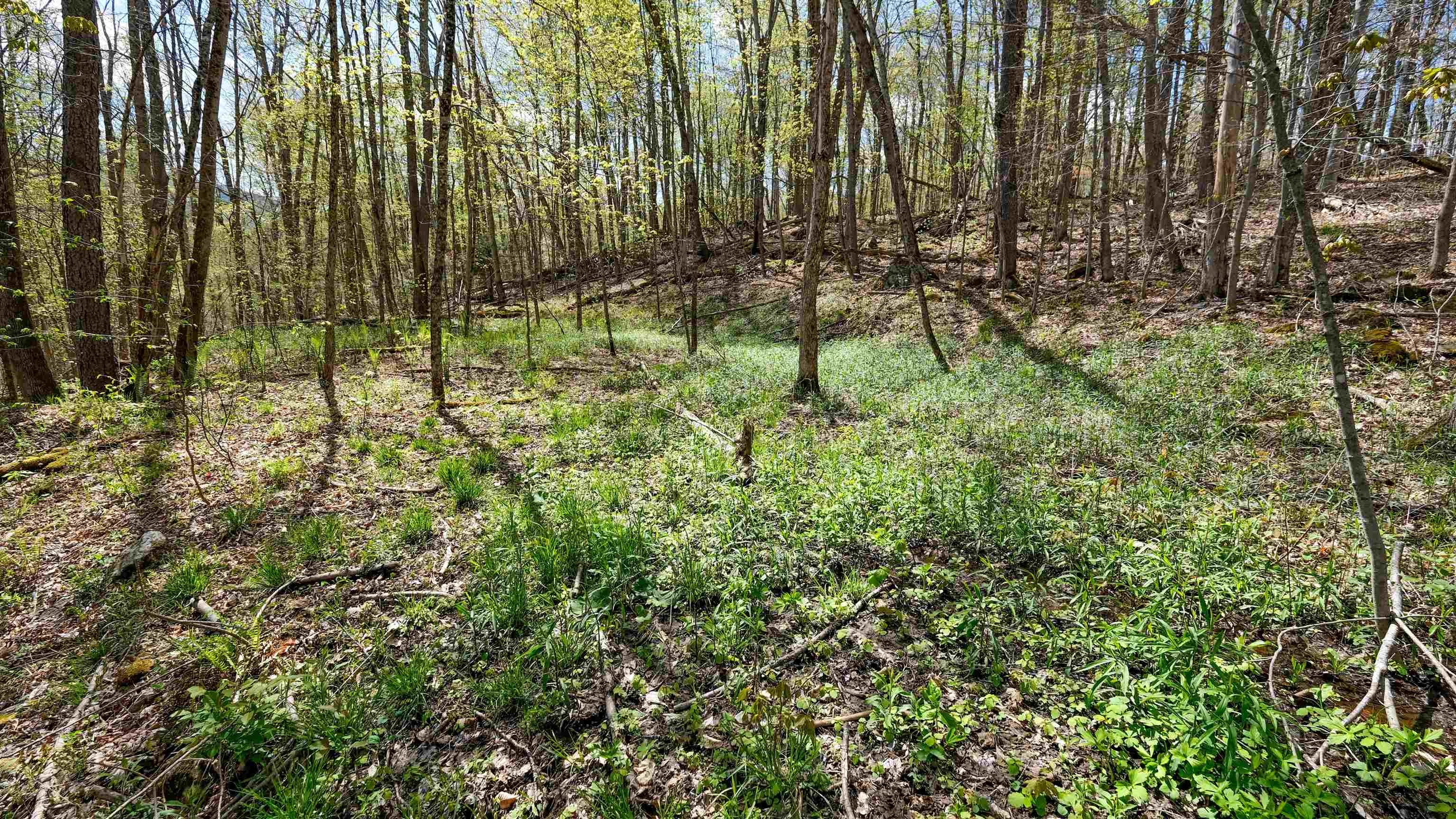 Other - 269 Hawkins Road, Wallingford, VT
