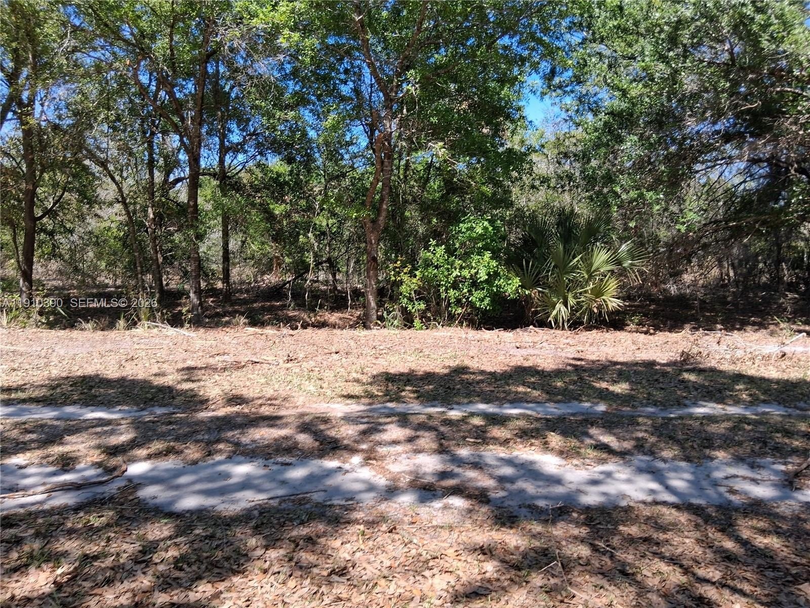 Other - 2822 W Yepremian Rd, Avon Park, FL