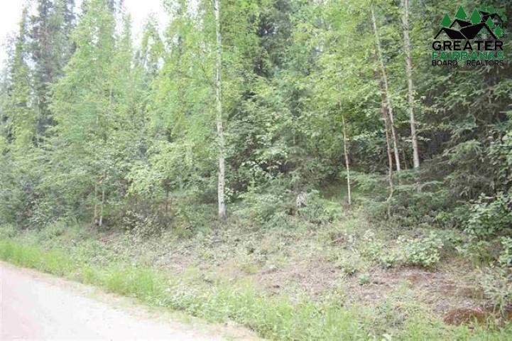 Other - PINE WOOD ROAD, Fairbanks, AK