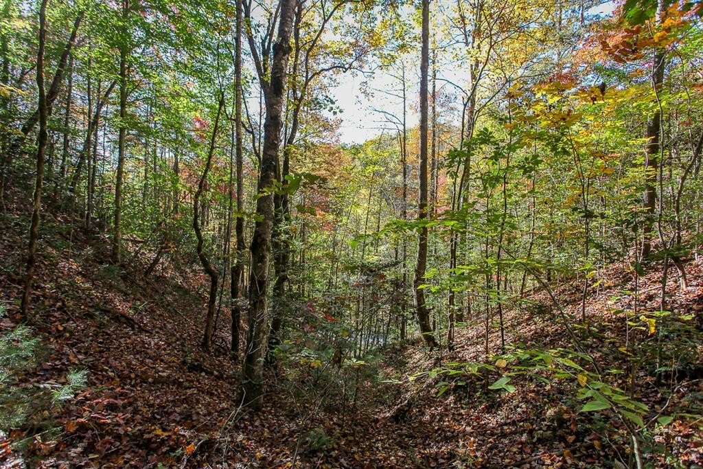 Other - 99999 Watia Rd, Bryson City, NC