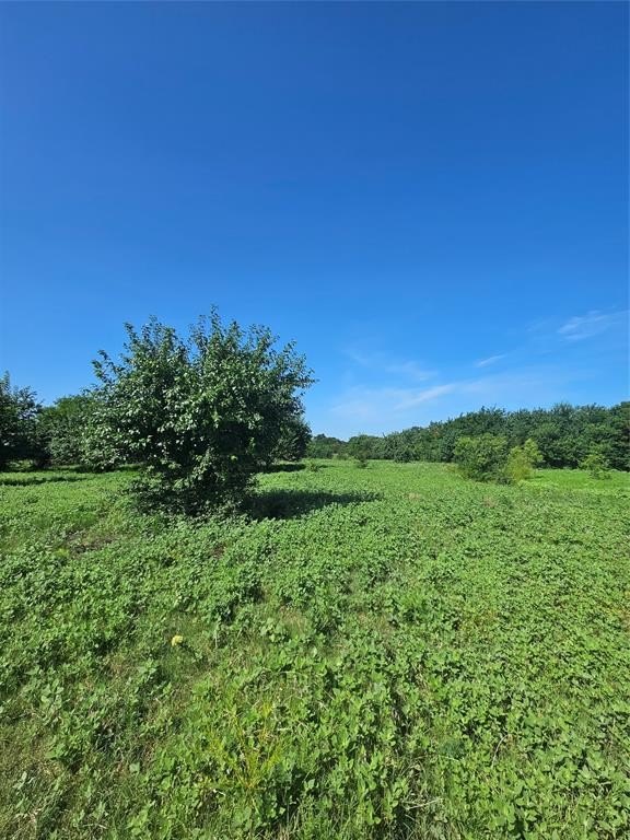 Other - CR 4841 Tract 1, Leonard, TX