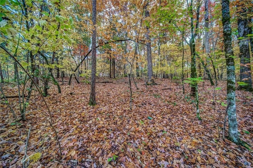 Other - 543 Cove Lake Drive, Marble Hill, GA