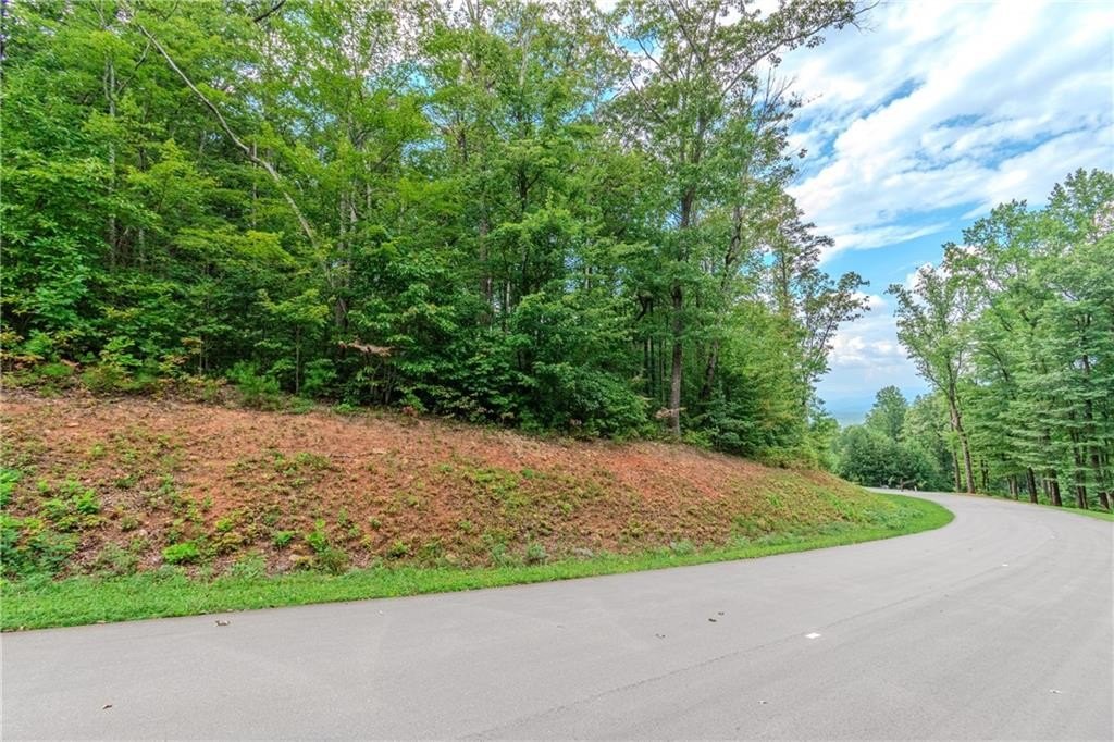 Single Family - LT219 Stone Cliff Drive, Jasper, GA