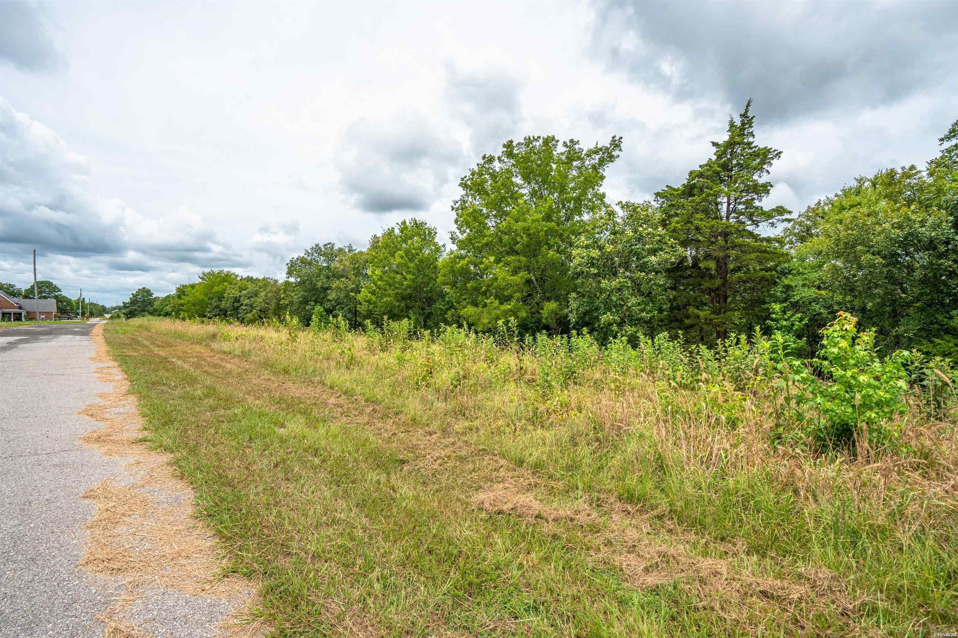 Single Family - Lot 45 FOX RUN, Malvern, AR