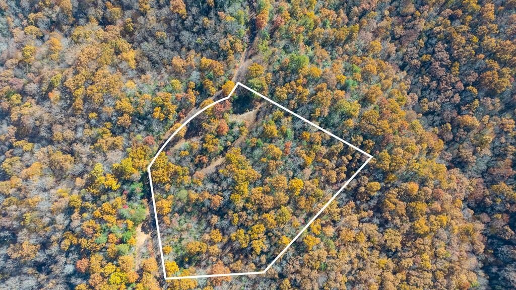 Other - 10/11 Sequoyah View Trail lot: 10/11, Franklin, NC