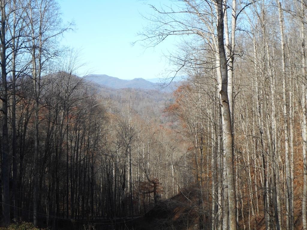 Other - Horseshoe Ridge lot: Tr 3, Franklin, NC
