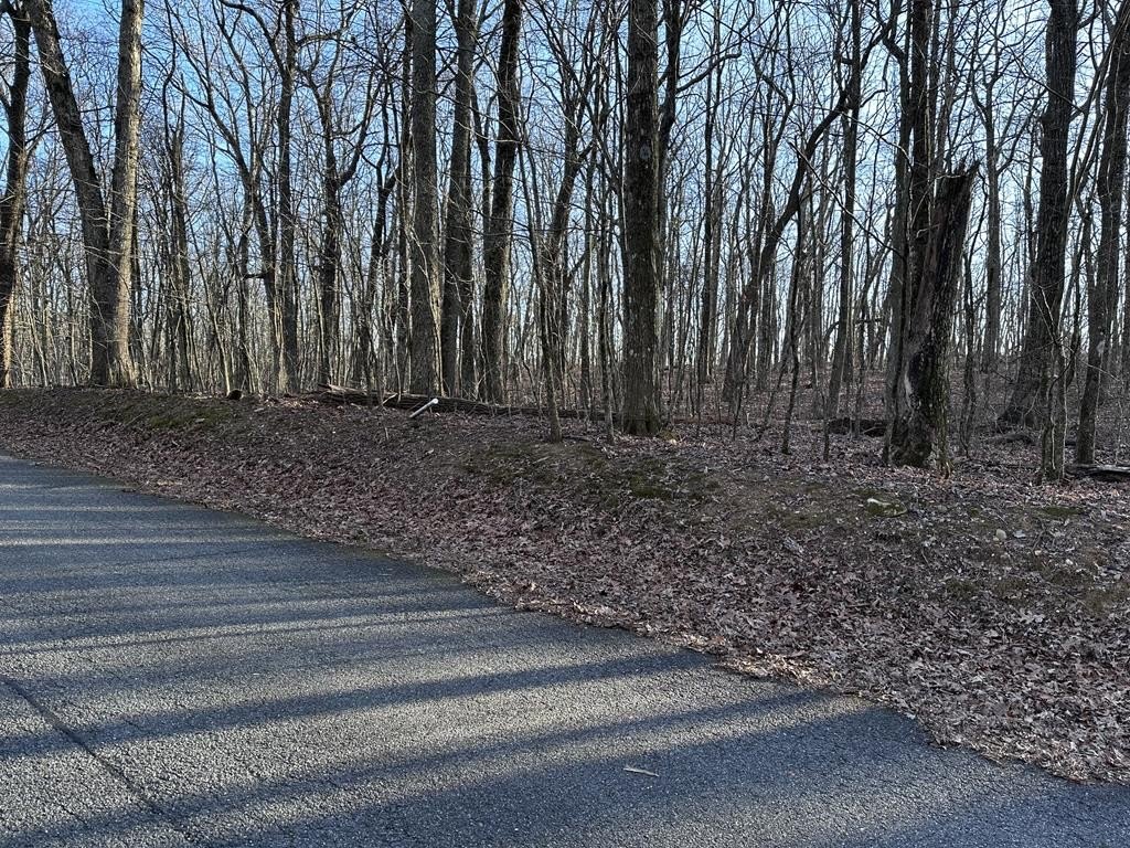 Other - 183 St Andrews Way, Ellijay, GA