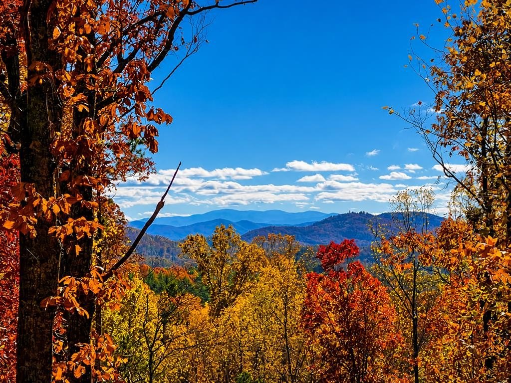Other 2BR 2BA - 449 Legendary Ridge Road, Murphy, NC