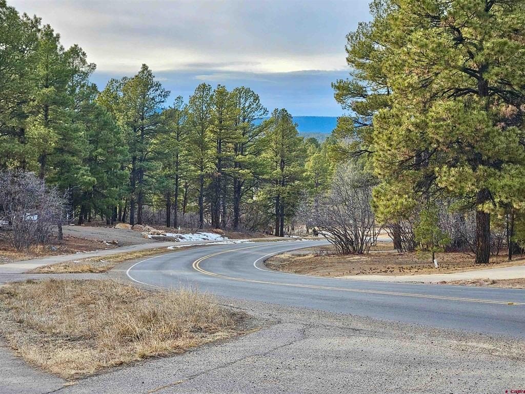 Single Family - 458 Antelope Avenue, Pagosa Springs, CO