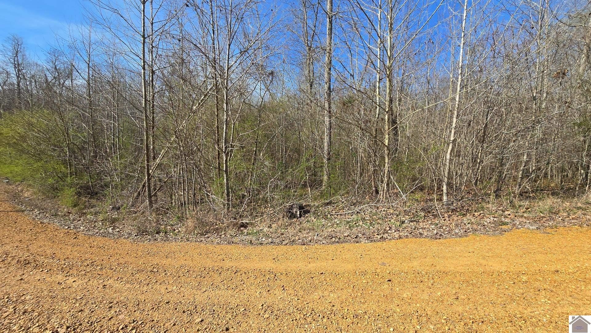 Other - 000 McClain Drive, New Concord, KY