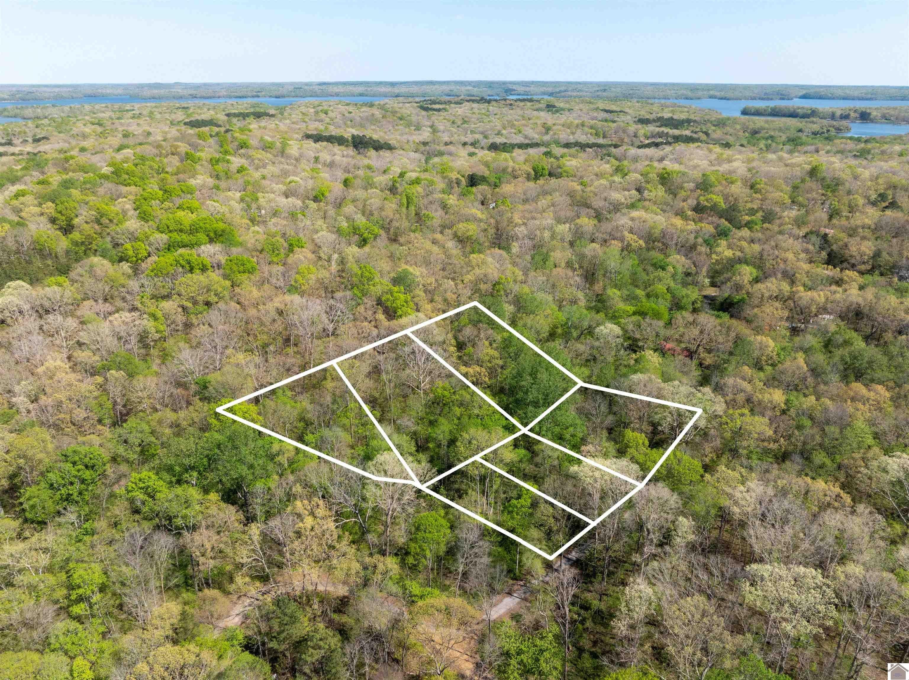 Other - 00 Shannon Creek Road, New Concord, KY