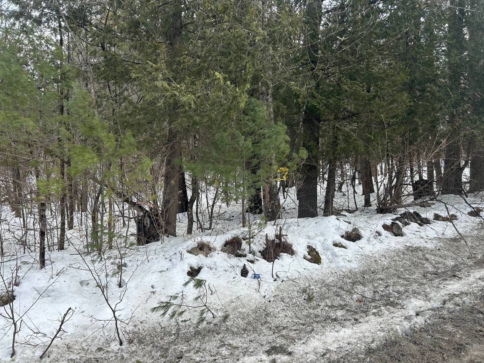 Other - L24.000 Hogback Road, Crown Point, NY