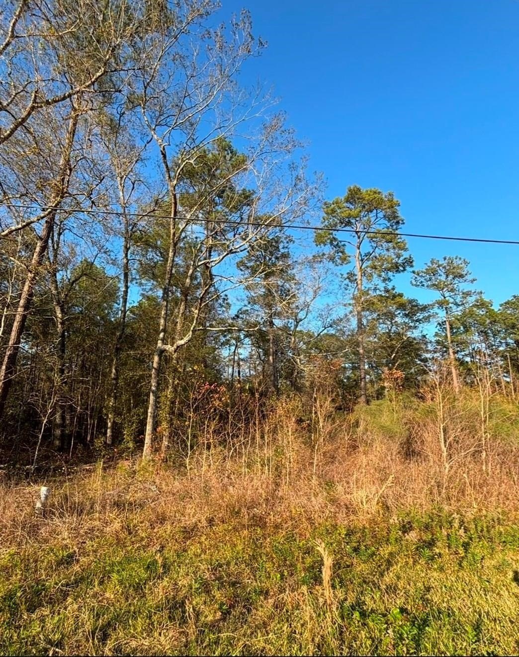 Other - 000 Ella Ln, Vidor, TX