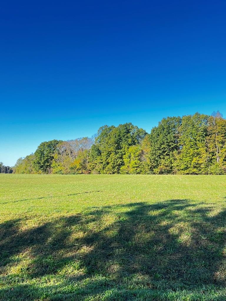 Other - Goff Ridge Rd. lot: 4, Baxter, TN