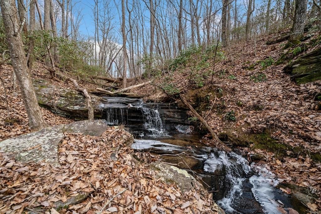 Other - Big Oak Drive, Jasper, GA