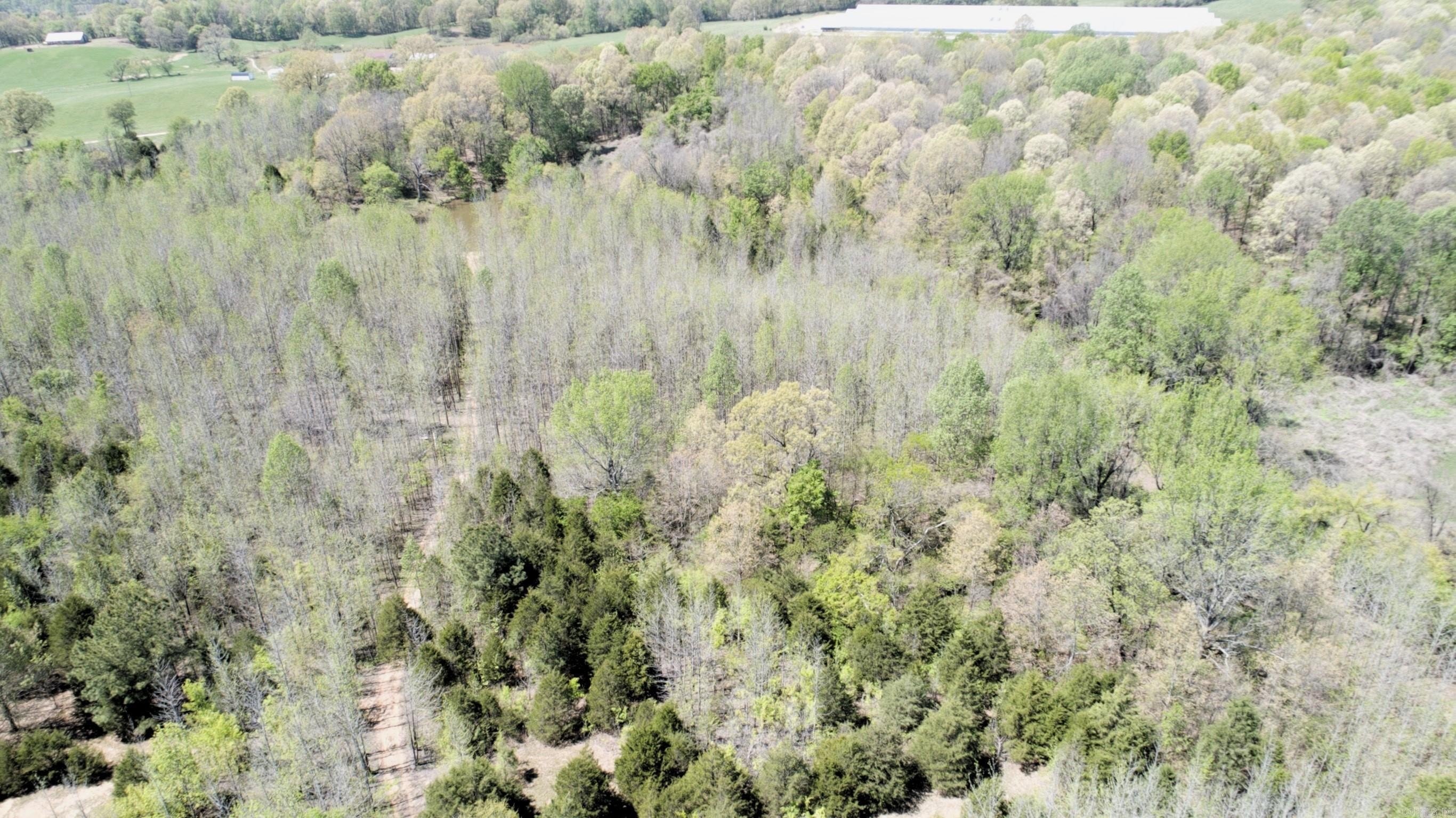 Other - CR 455, Piggott, AR