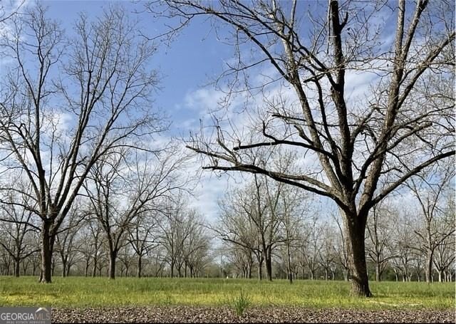 Other - 2797 Lake Lannell Road, Odum, GA