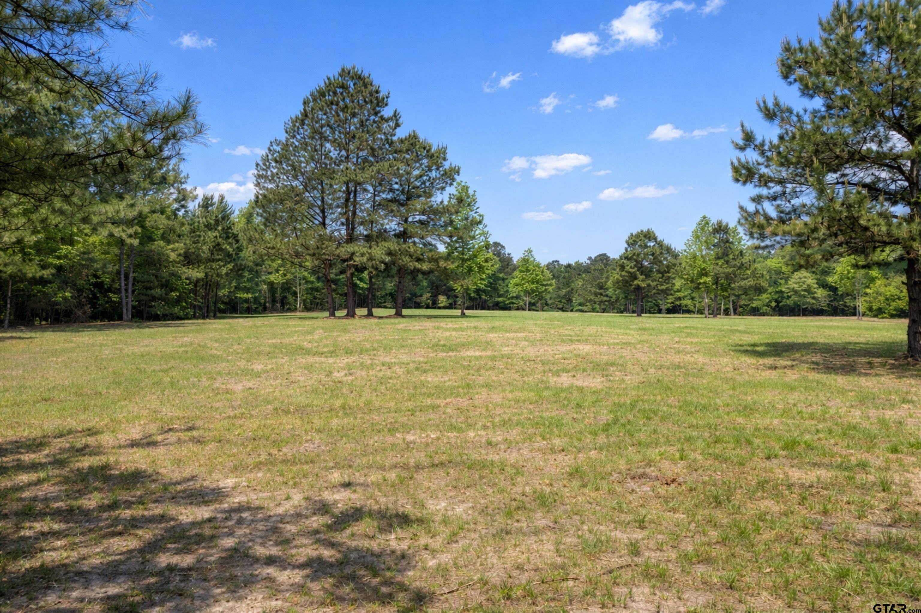 Other - 4552 Van Hwy, Tyler, TX