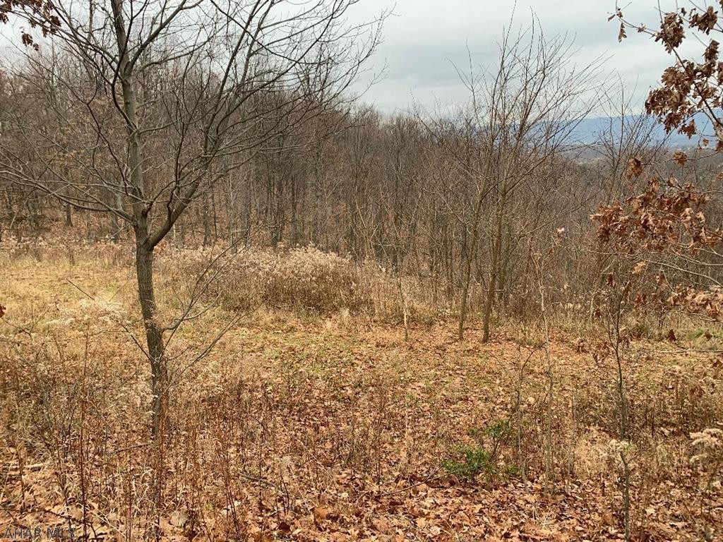 Lot Unit 31 Granada Way  