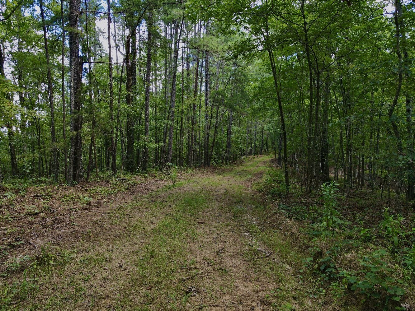 1853 Earnest Chapel Rd  