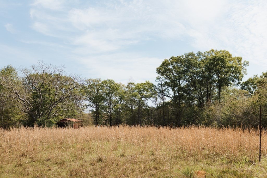 Other - 00 E Twin Oaks, Carriere, MS